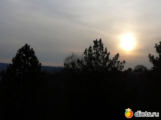 19 ����: ����������