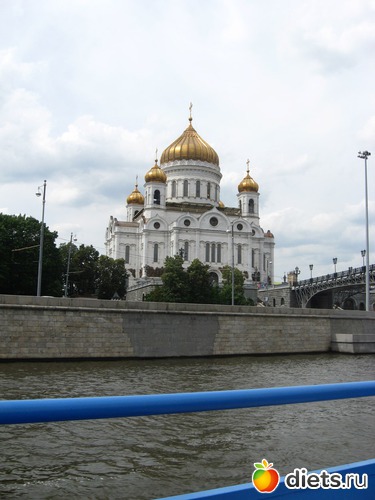 43 ����: ������