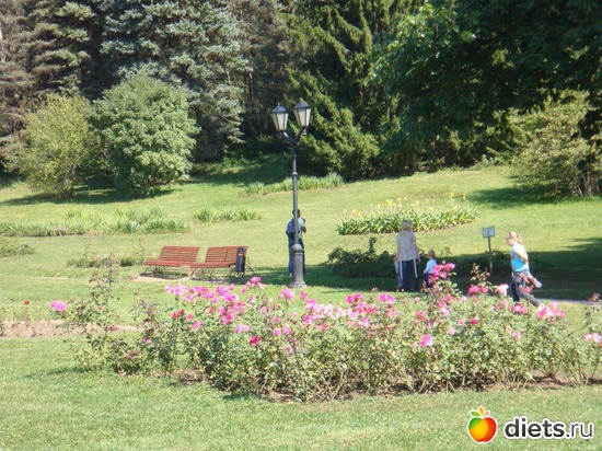 23 ����: ����������