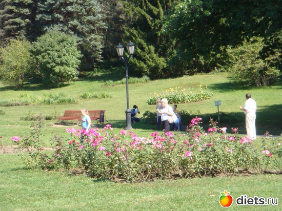 24 ����: ����������