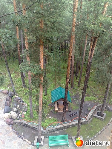 1 ����: ����������