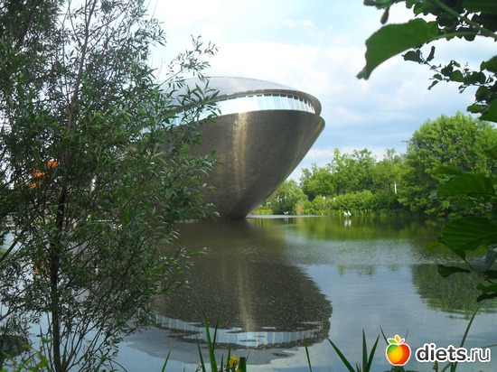 5 ����: ����� ������