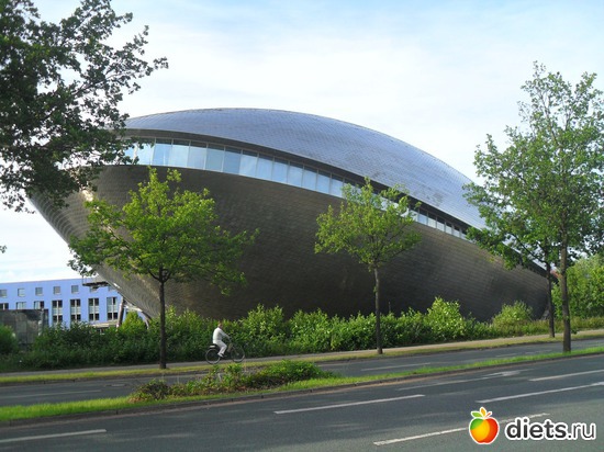 6 ����: ����� ������