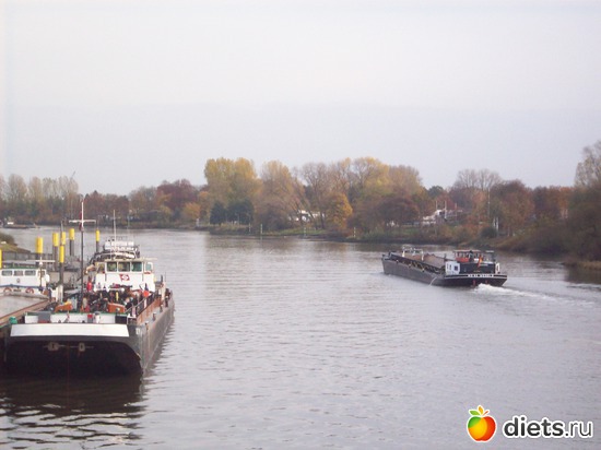 ��� �����, ������: ����� ������