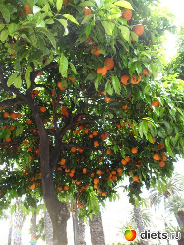 4 ����: ITALIA - MAJ 2013