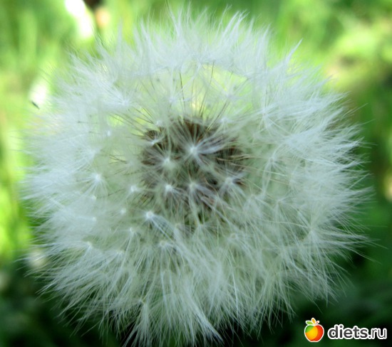 45 ����: ����