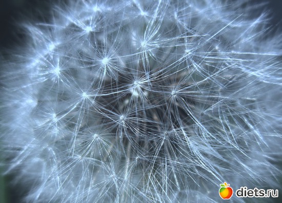 47 ����: ����