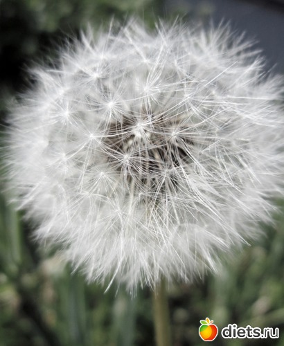 48 ����: ����