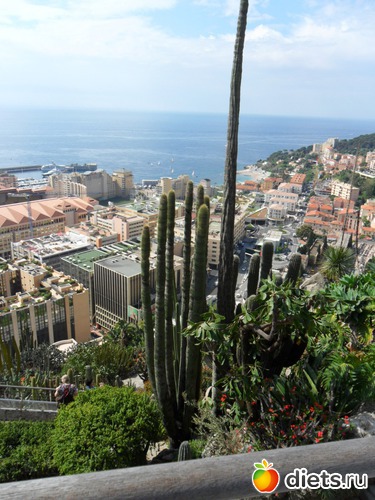 9 ����: ITALIA - MAJ 2013