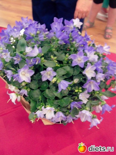 18 ����: ��������� �����. ��������