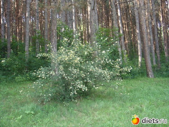 28 ����: ����������