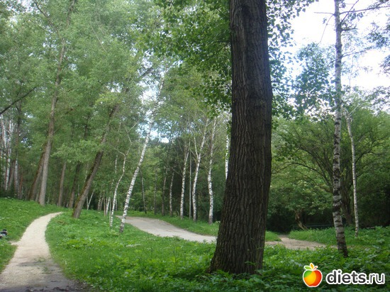 30 ����: ����������