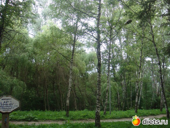 31 ����: ����������