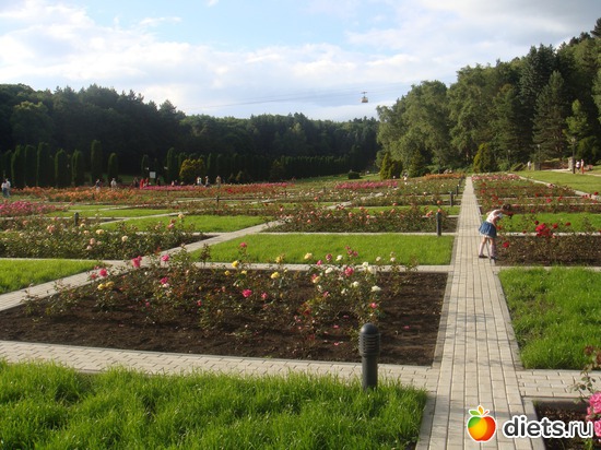 32 ����: ����������