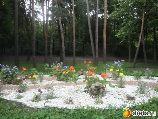 33 ����: ����������