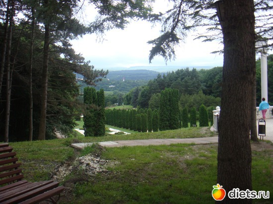 35 ����: ����������