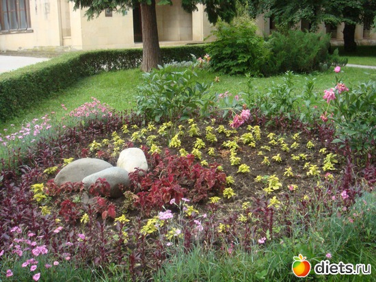 38 ����: ����������