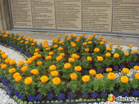 40 ����: ����������