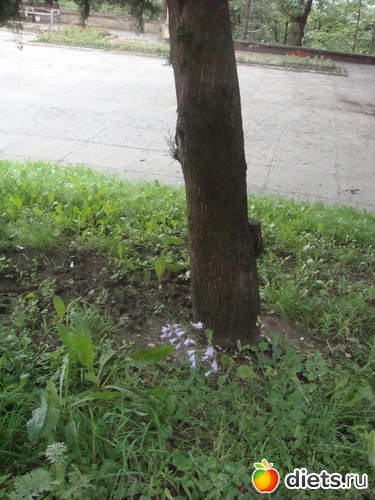 42 ����: ����������