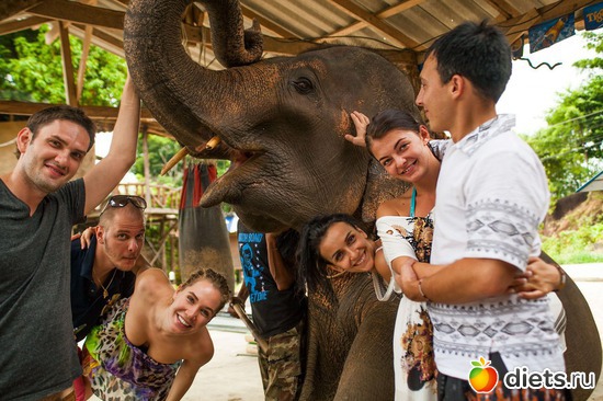 7 ����: ��� ����