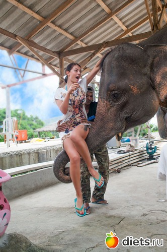 10 ����: ��� ����