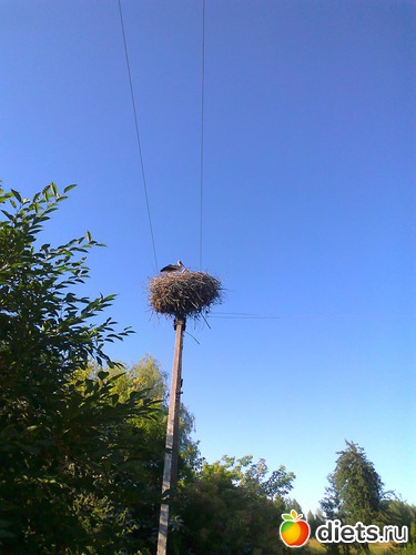 1 ����: �����. �������.