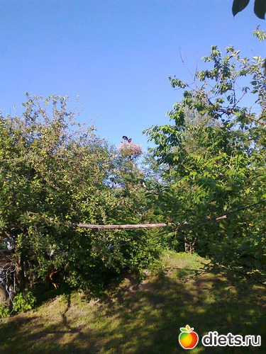 2 ����: �����. �������.