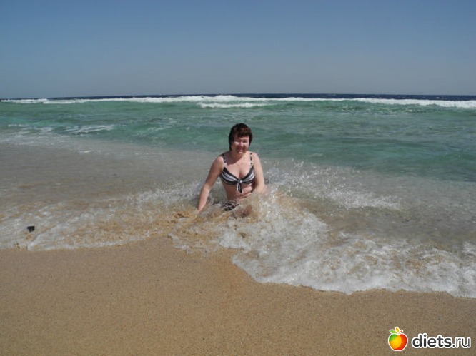 1 ����: �����