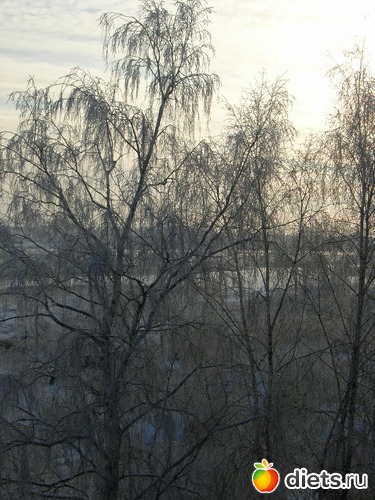 ����� ����, ������: ��� �� �����  ����