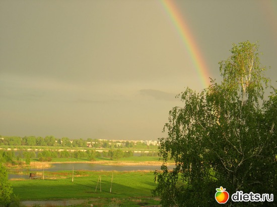 ��� ���� �� ����� ����, ������: ��� �� �����  ����