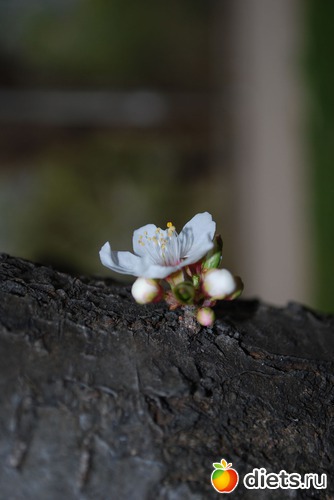 2 ����: �������