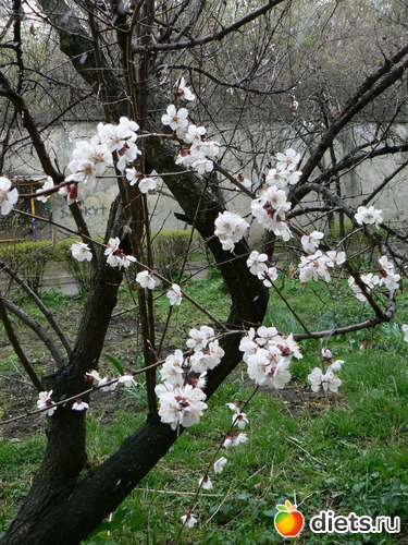 8 ����: �������