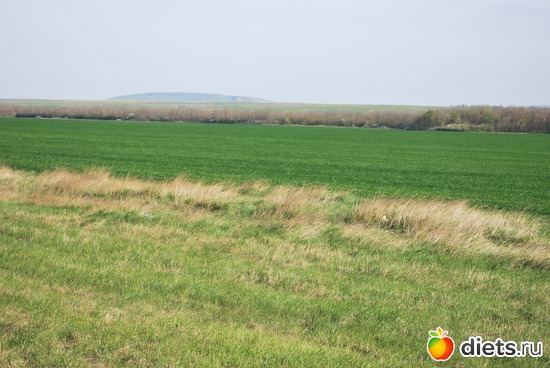 9 ����: �������