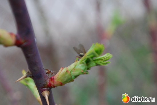 10 ����: �������