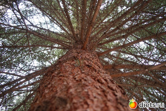 11 ����: �������