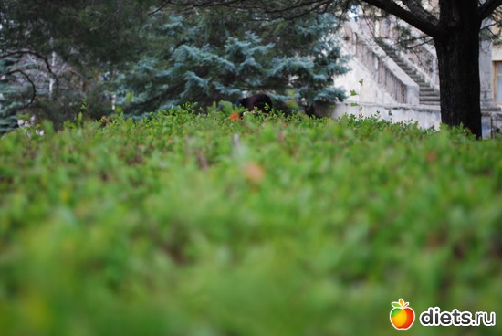 12 ����: �������