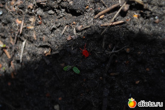 20 ����: �������