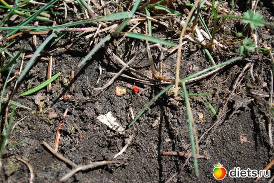 21 ����: �������