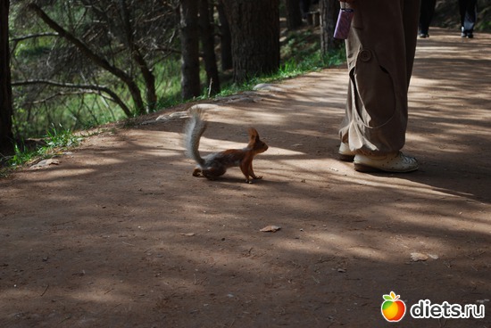 23 ����: �������