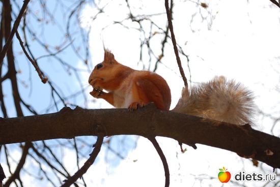 25 ����: �������