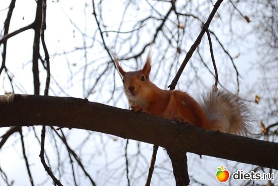 26 ����: �������