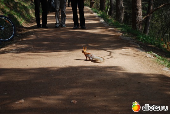 27 ����: �������