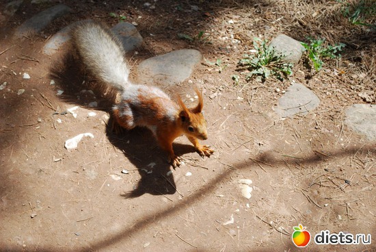 28 ����: �������