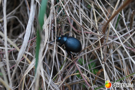 30 ����: �������