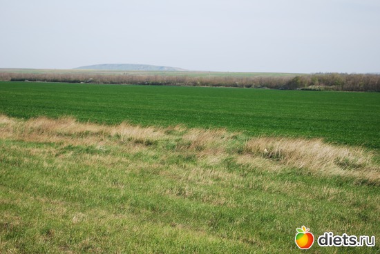 33 ����: �������