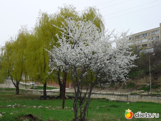 38 ����: �������