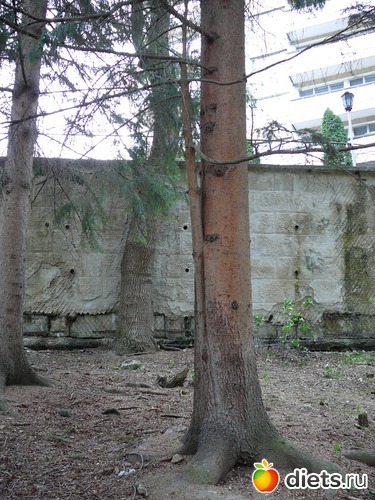 43 ����: �������