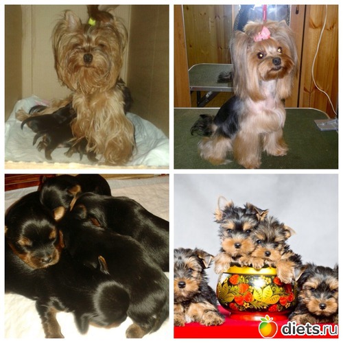 1 ����: ������