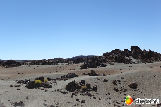 26 ����: �������� 2013