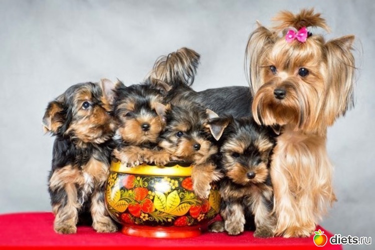 3 ����: ������